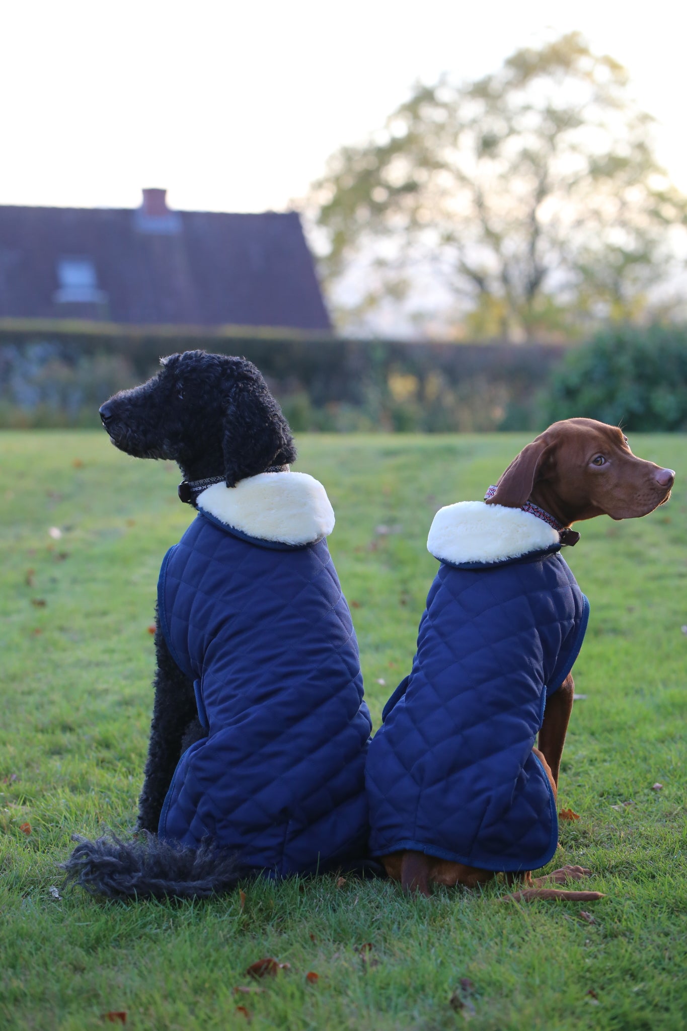 Hundemantel Original Hundejacke