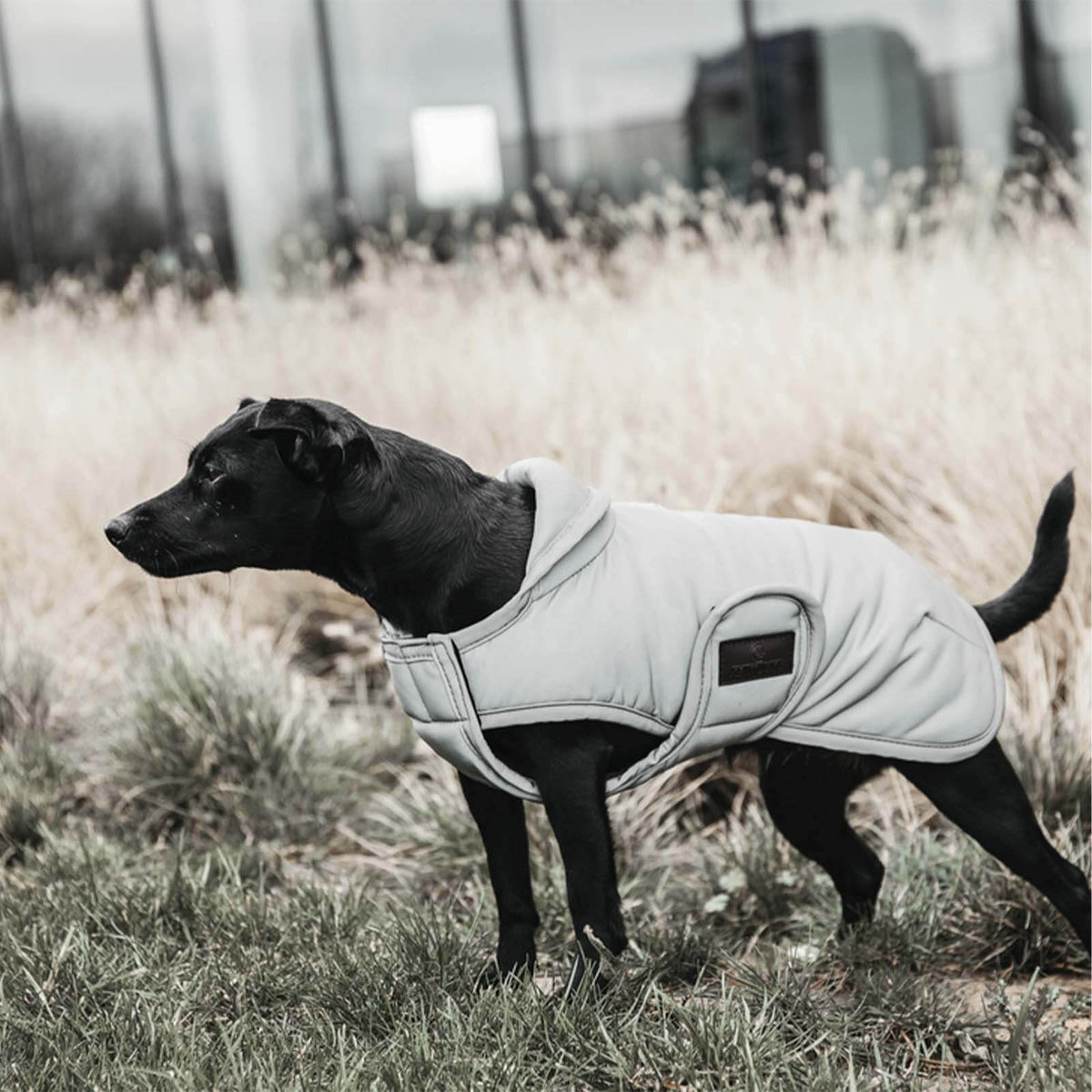 Hundemantel Reflective & Water Repellent 150g Wintermantel wasserabweisend