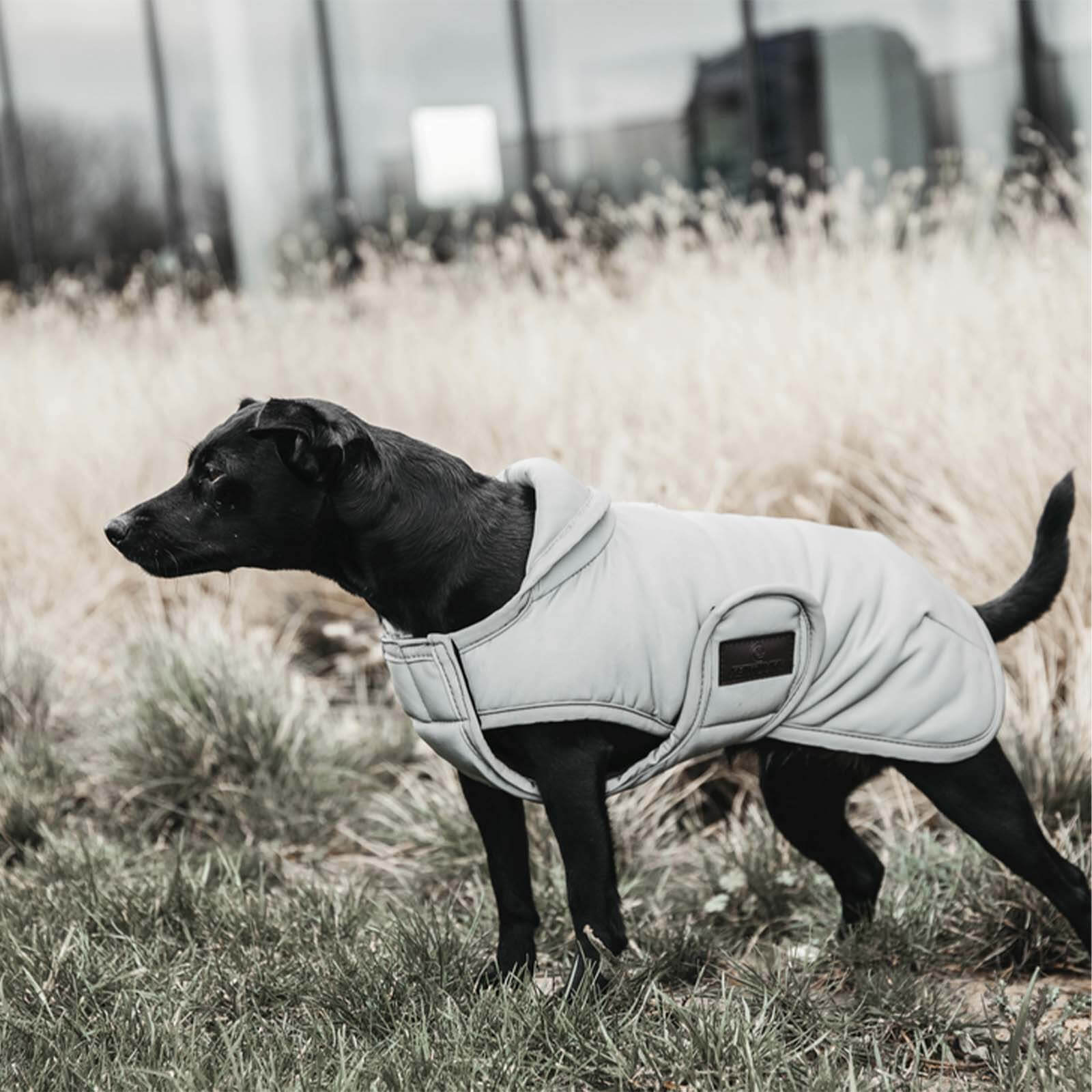 Hundemantel Reflective & Water Repellent 150g Wintermantel wasserabweisend
