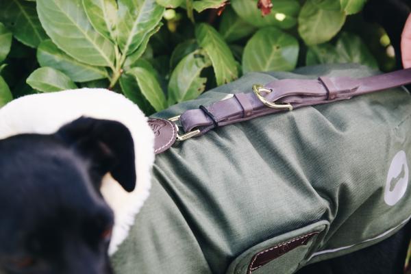 Hundemantel Waterproof Hundejacke