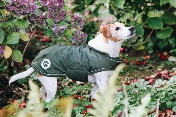 Hundemantel Waterproof Hundejacke