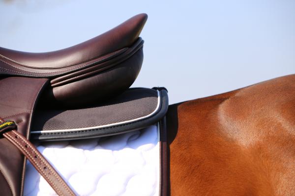 Anatomisches Sattel Pad Absorb Sattelpad Rückenpad