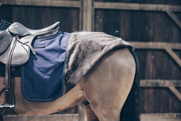 Ausreitdecke 160g Quarter Rug All Weather