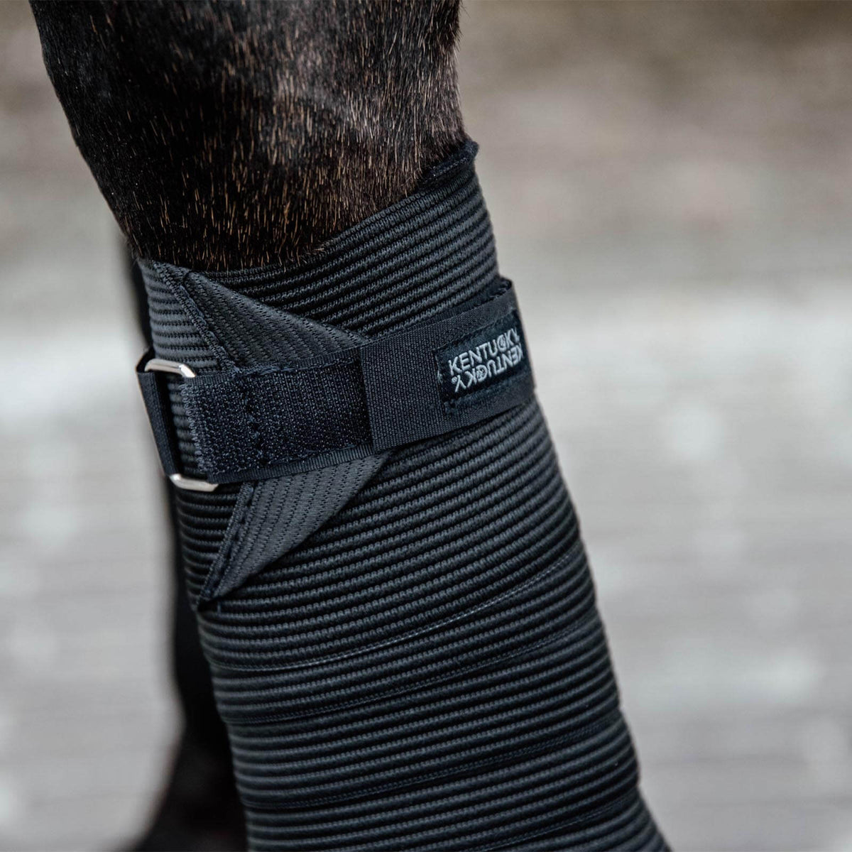 Kentucky Horsewear Bandagen Elastik 2er-Set, Schwarz, Detailaufnahme am Pferdebein.