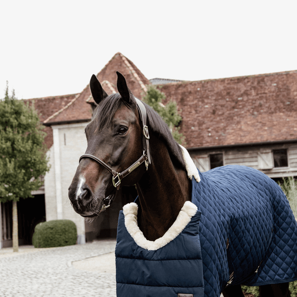 Brustschoner für Pferdedecken Horse BIB Winter