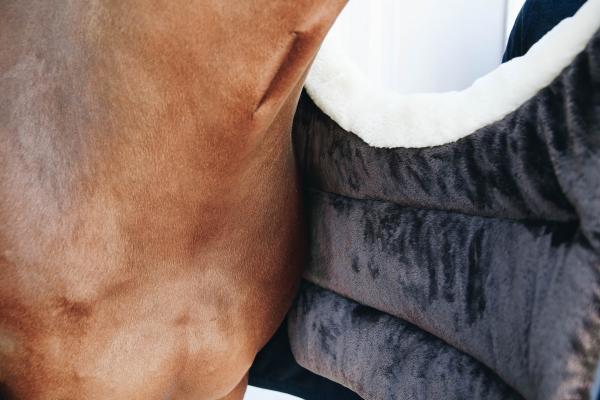 Brustschoner für Pferdedecken Horse BIB Winter