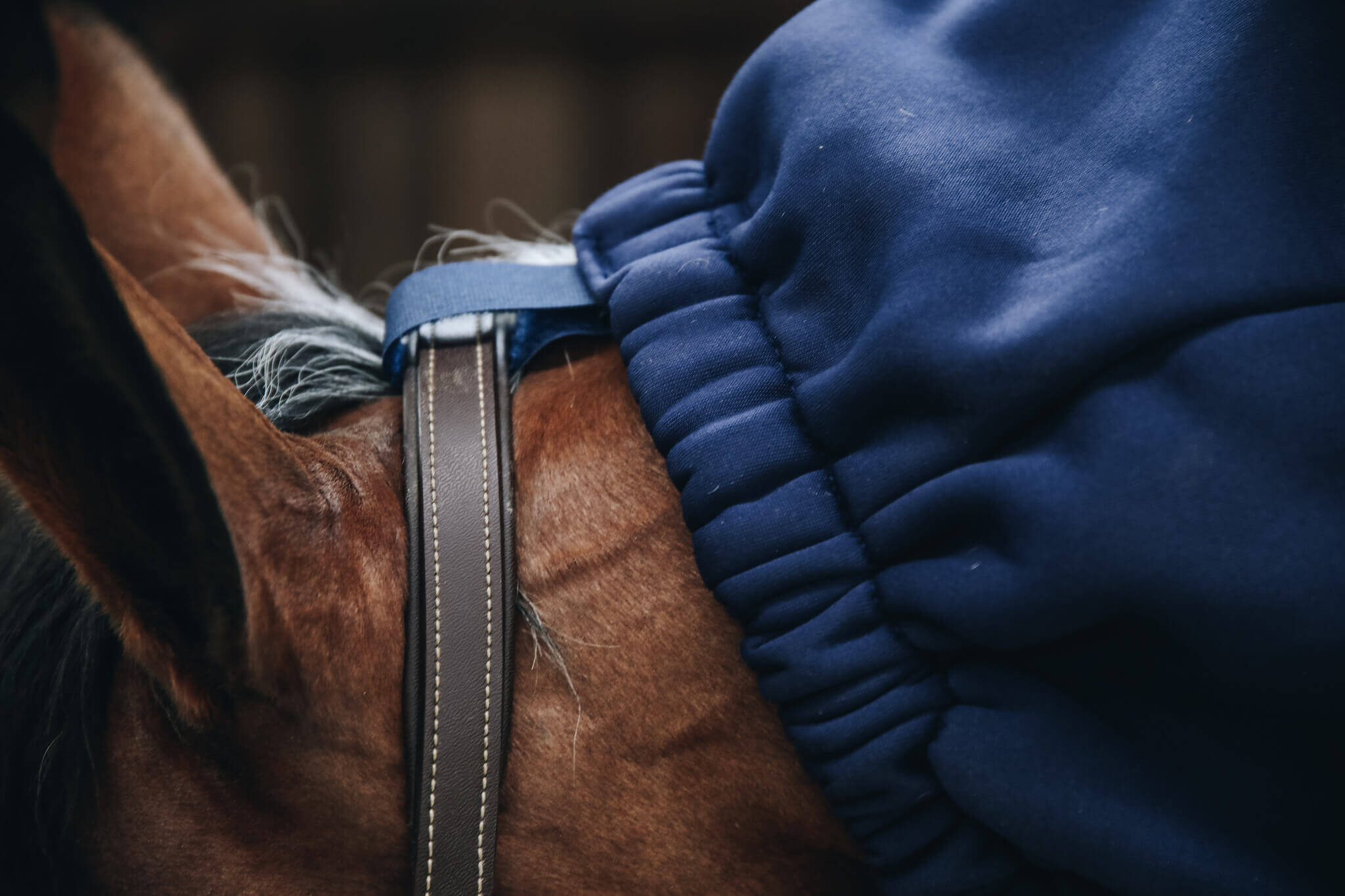 Halsteil Cooler Fleece