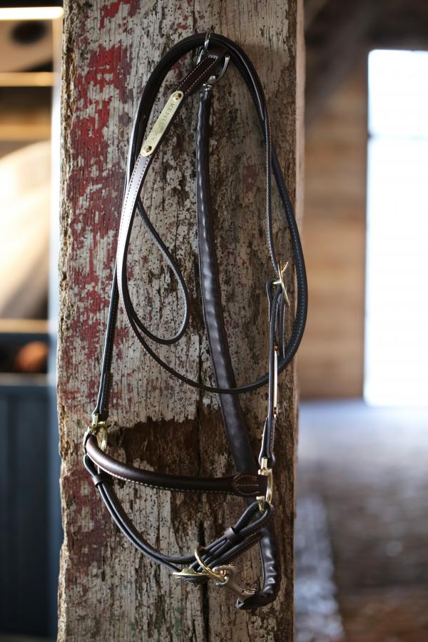 Hundeleine Führleine Leather Covered Chain Lederleine