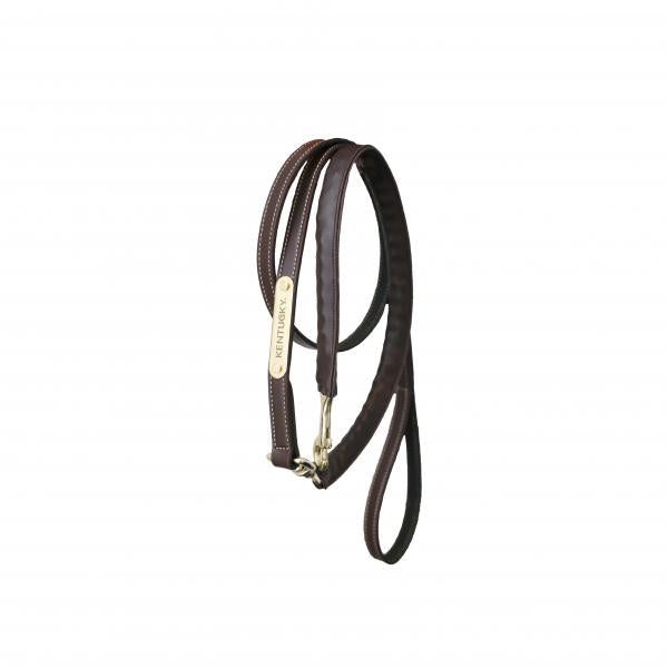 Hundeleine Führleine Leather Covered Chain Lederleine