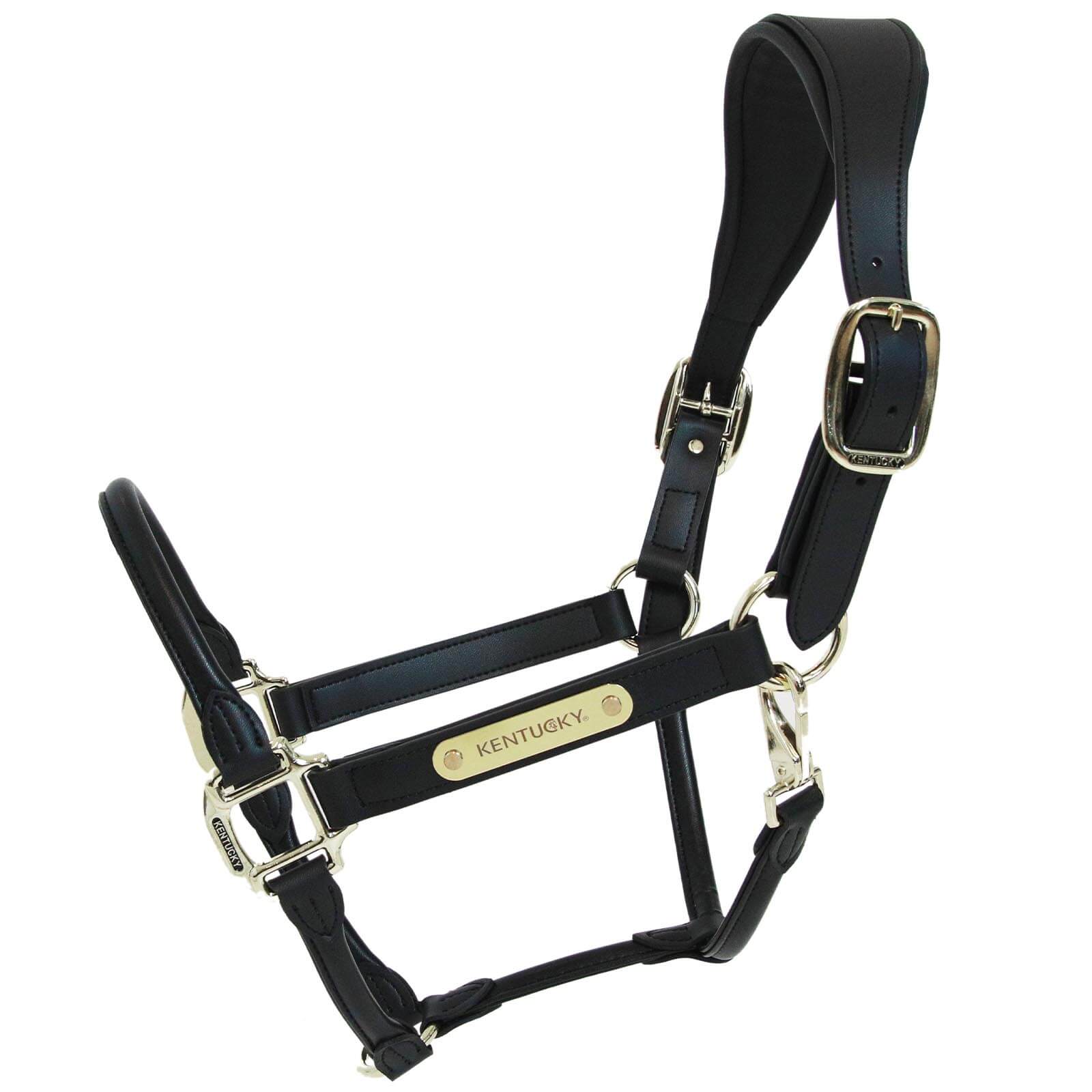 Lederhalfter Anatomic