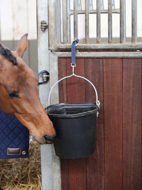 Nylon Halter Hook & Ring