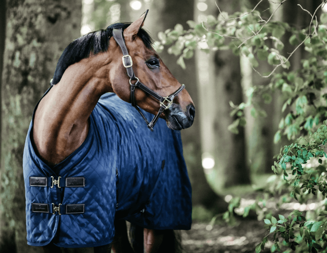 Stalldecke 0g Stable Rug Pferdedecke
