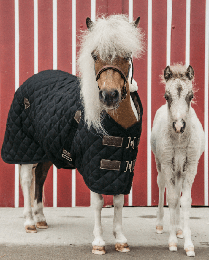 Stalldecke400g Stable Rug Tiny Ponydecke