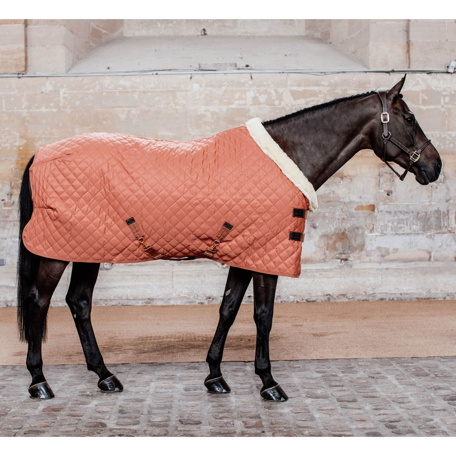 Turnierdecke 160g Show Rug