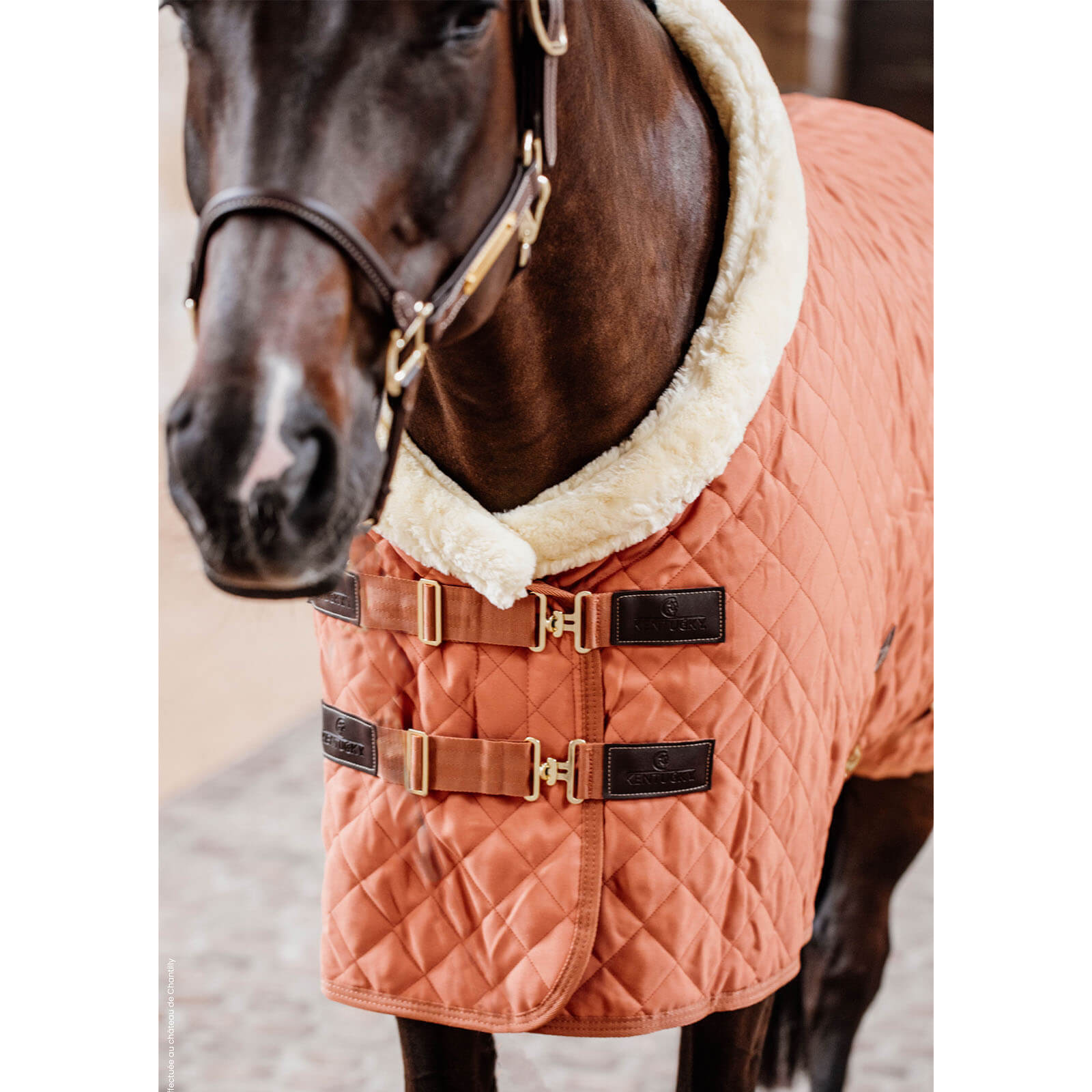 Turnierdecke 160g Show Rug