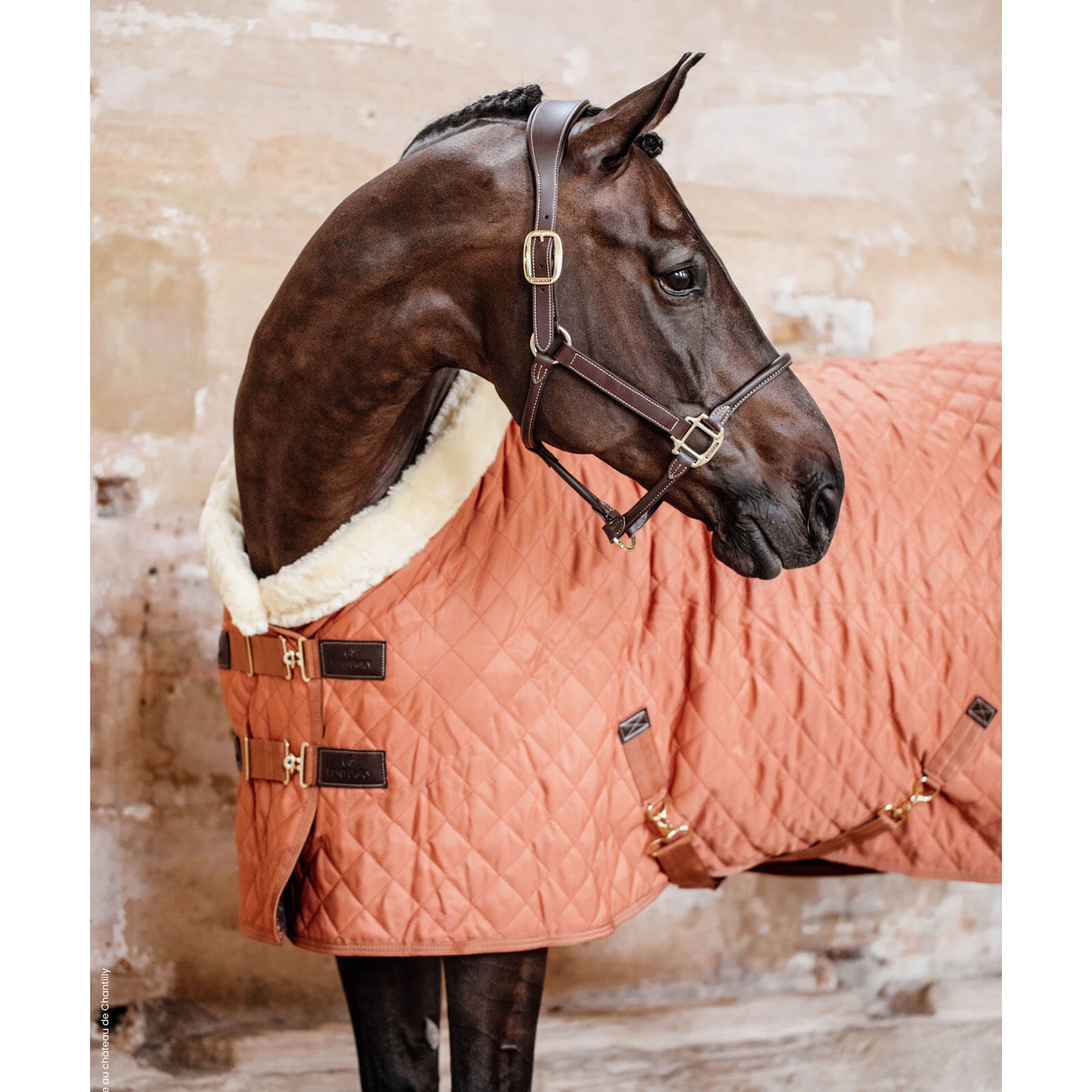Turnierdecke 160g Show Rug