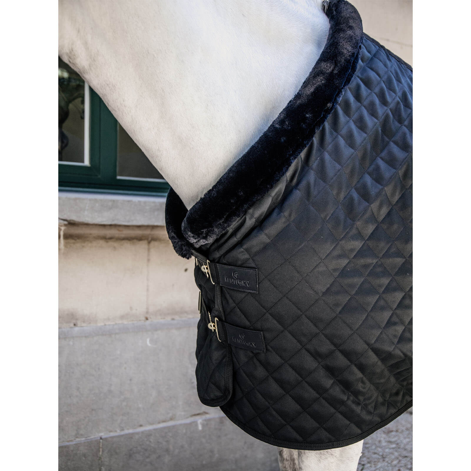 Turnierdecke 160g Show Rug