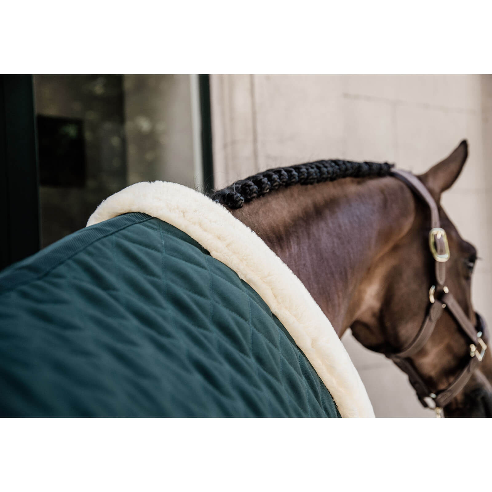 Turnierdecke 160g Show Rug