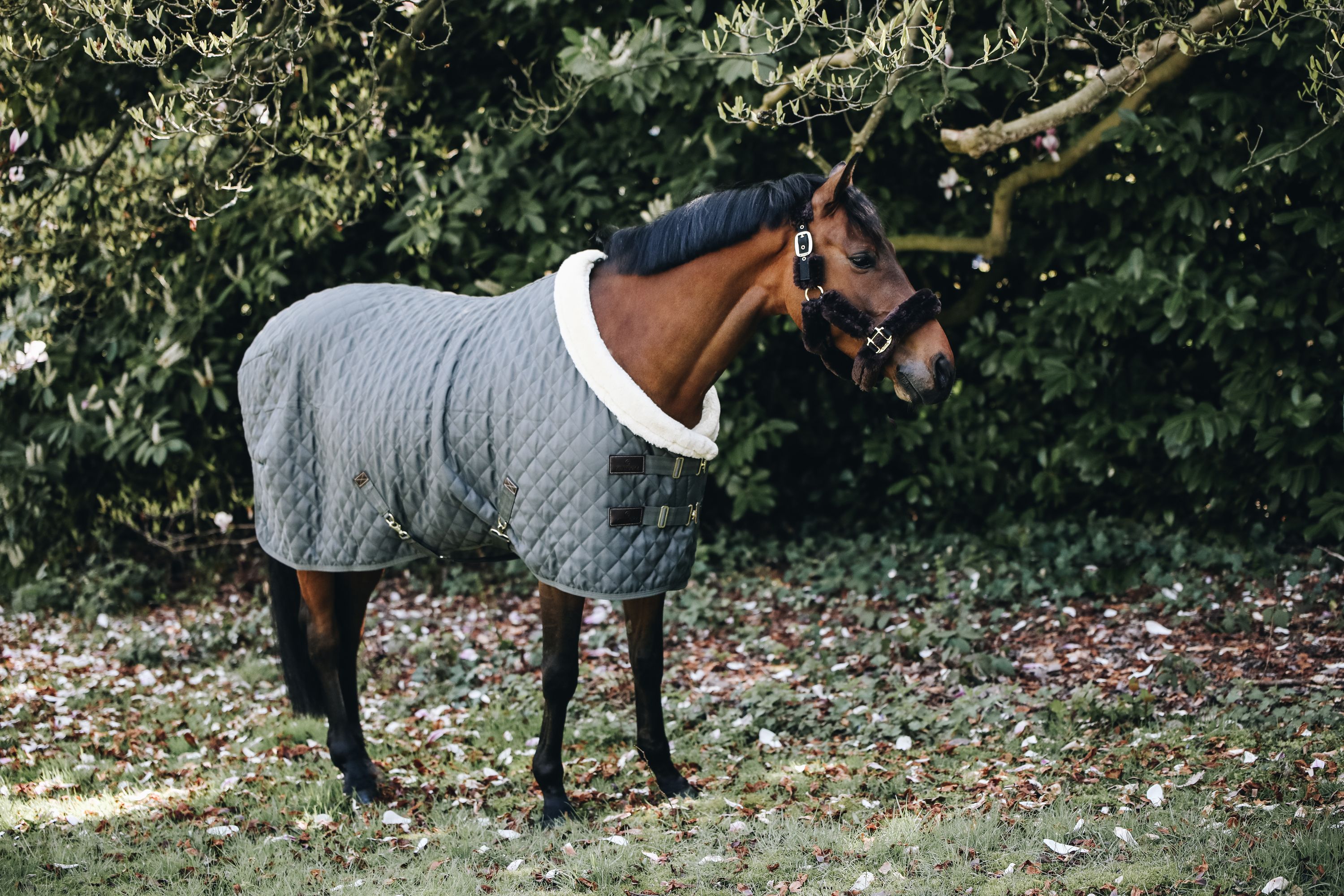 Turnierdecke 160g Show Rug