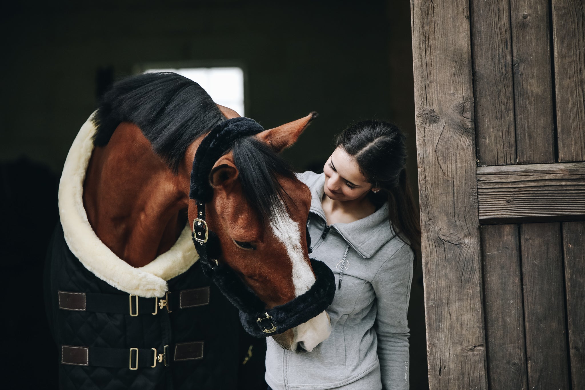 Turnierdecke 160g Show Rug