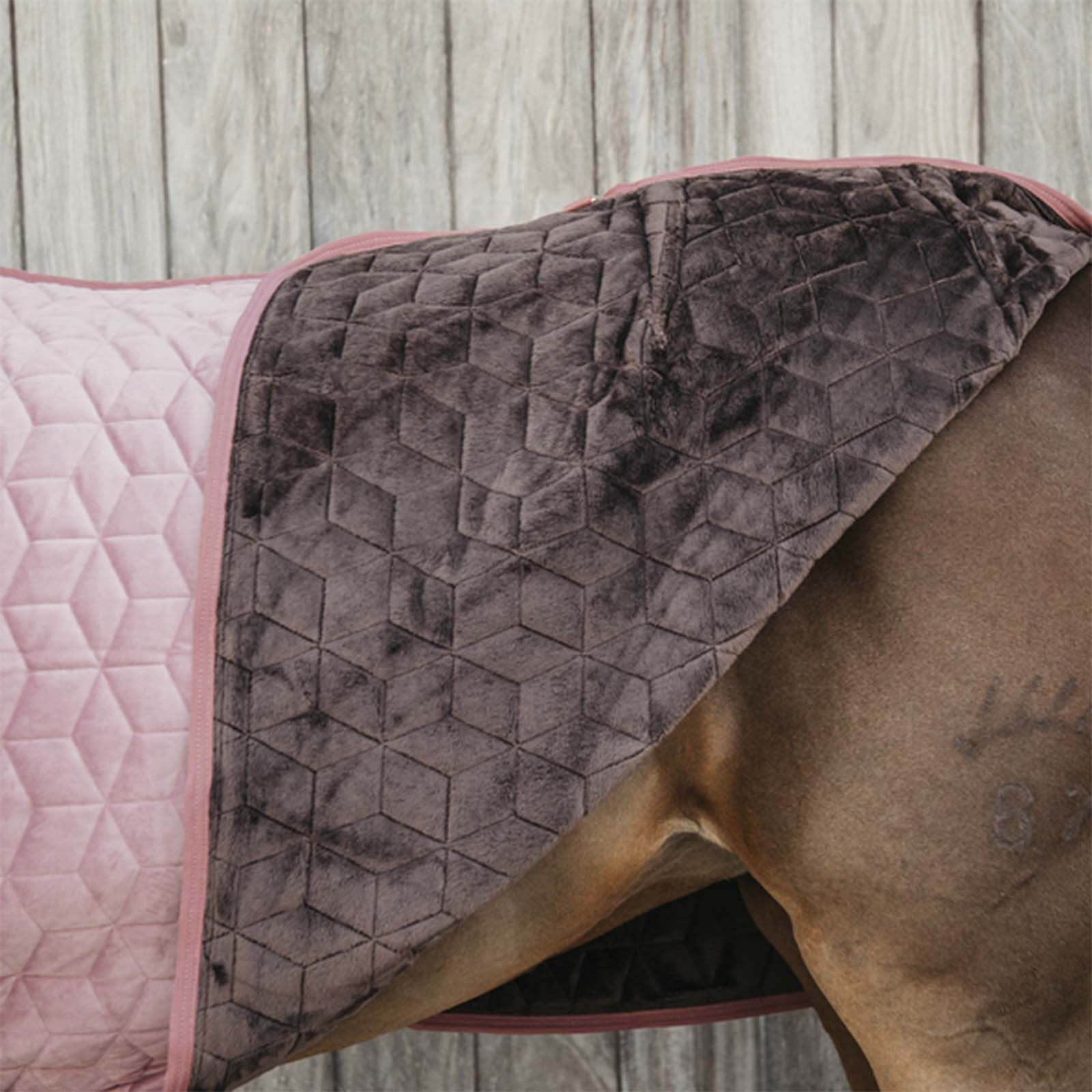 Turnierdecke 160g Show Rug Velvet Stalldecke