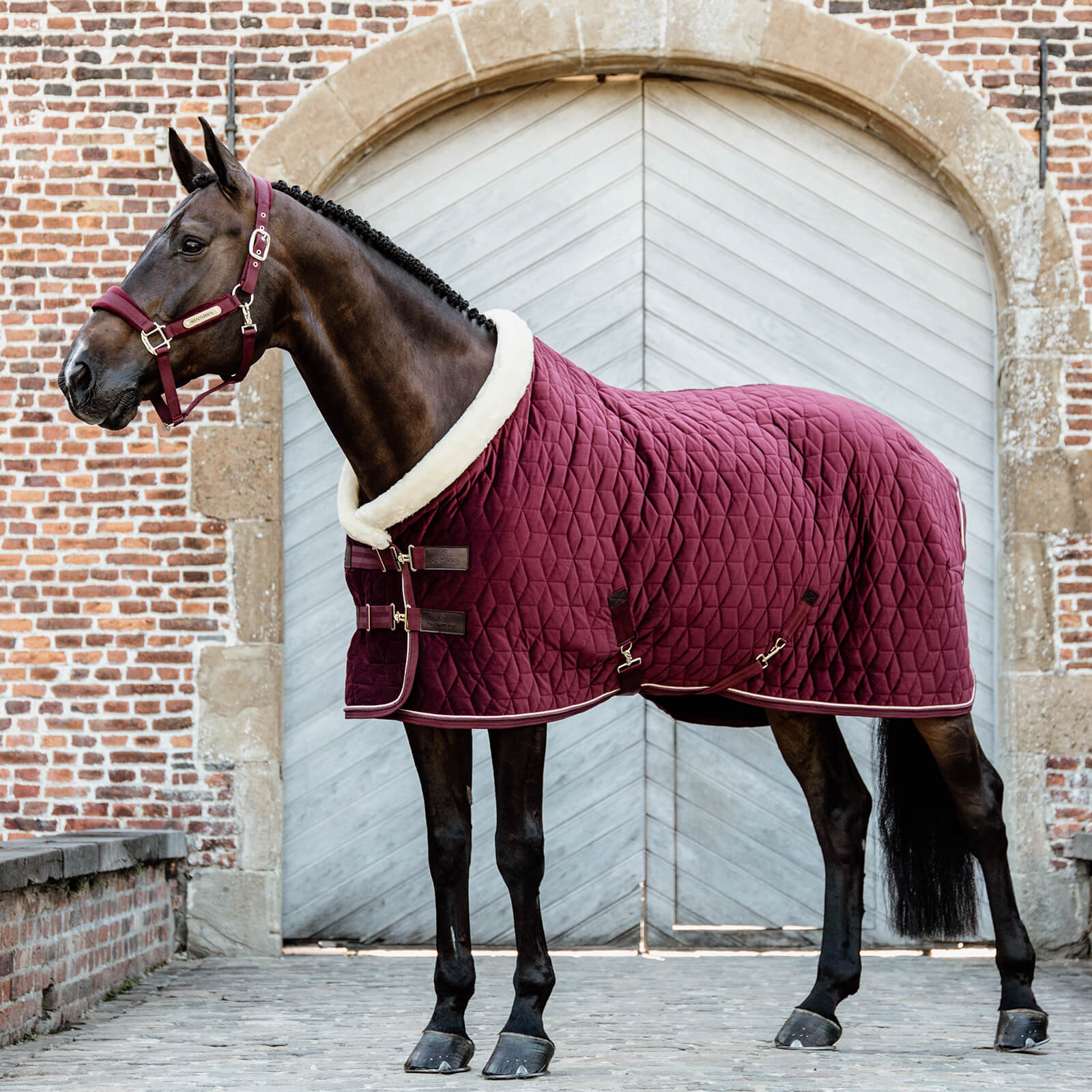 Turnierdecke 160g Show Rug Velvet Stalldecke