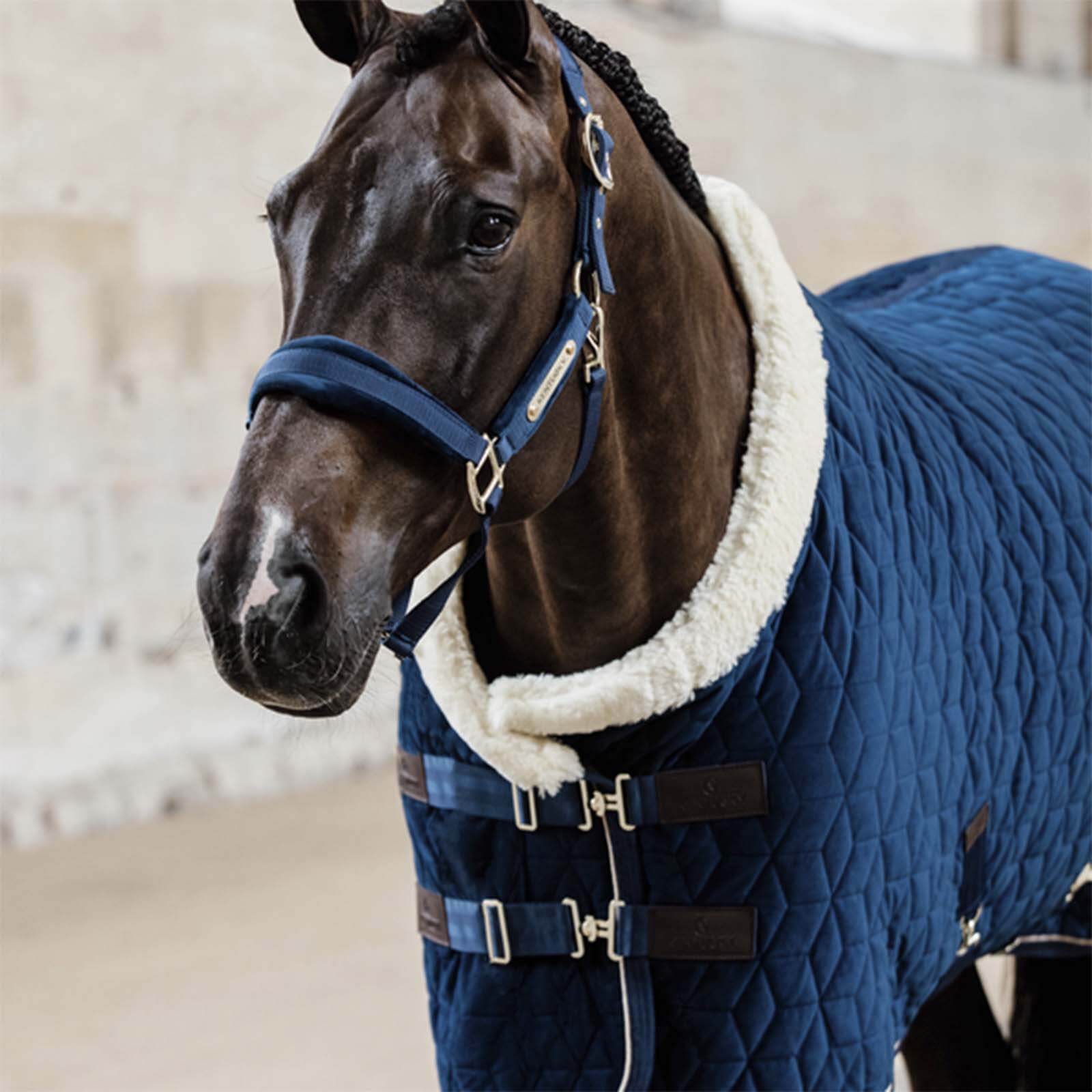 Turnierdecke 160g Show Rug Velvet Stalldecke