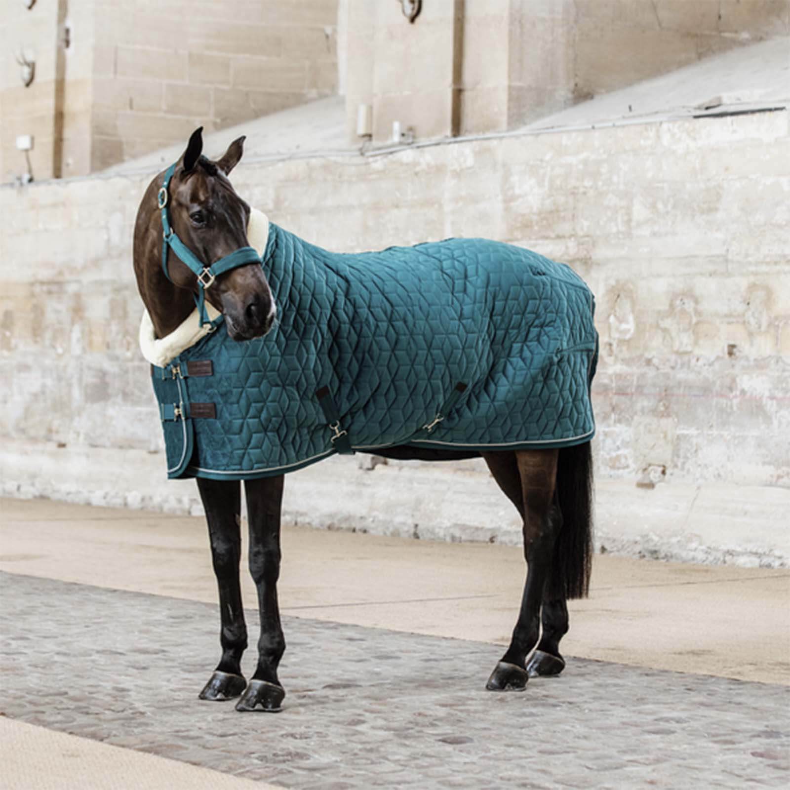 Turnierdecke 160g Show Rug Velvet Stalldecke