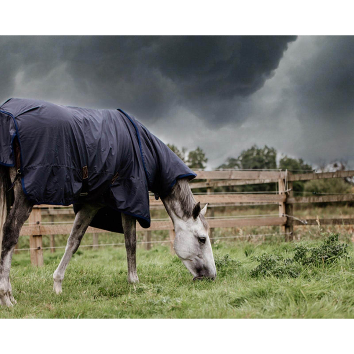 Kentucky Horsewear Outdoordecke 0g All Weather Hurricane Regendecke, Navy, Pferd auf der Weide bei Regen.