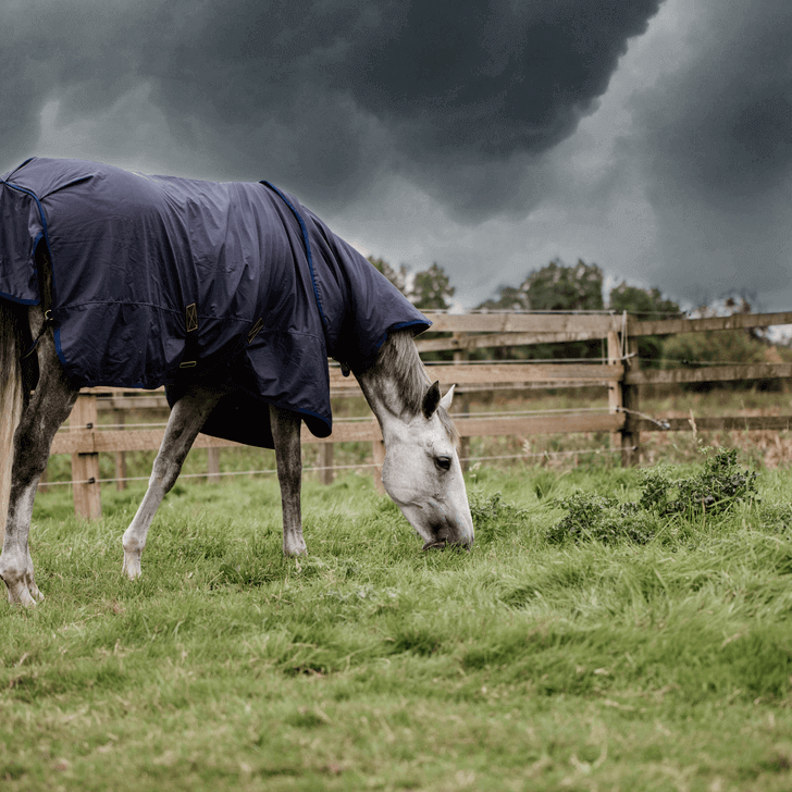 Outdoordecke 50g All Weather Hurricane Weidedecke, Dunkelblau, Pferd auf der Weide.