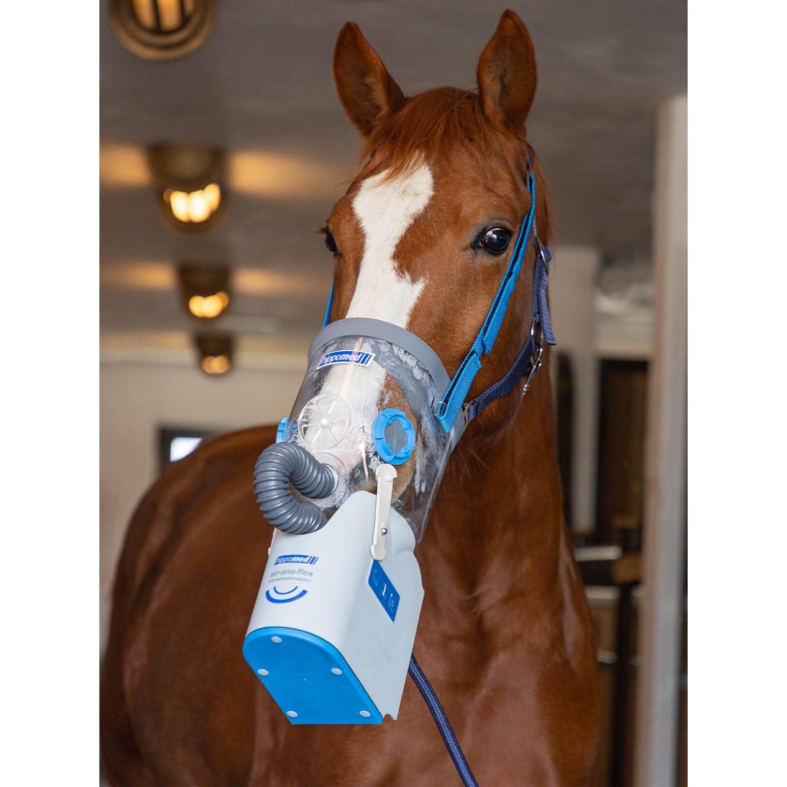 Akku-Ultraschall-Inhalator inklusive Warmblutmaske AirOne Flex Pferdeinhalator