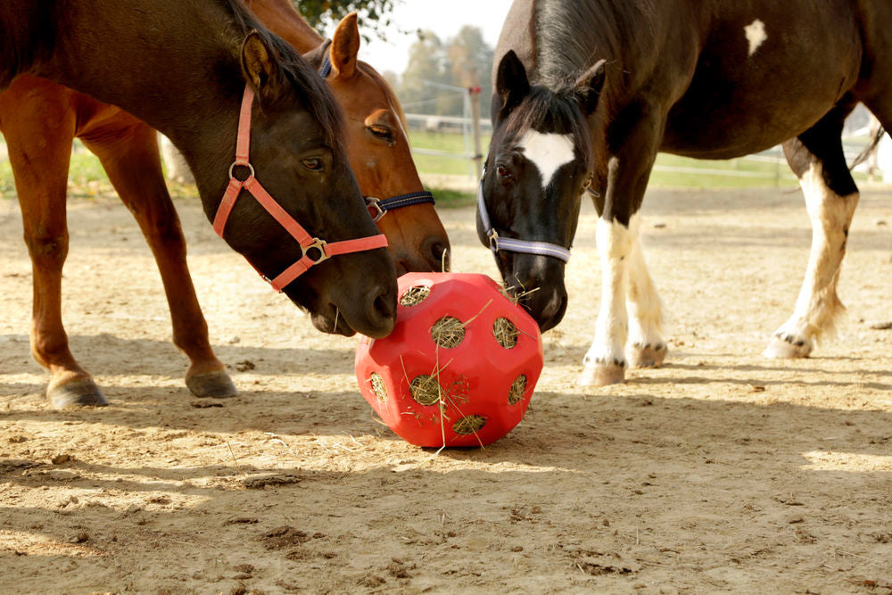 Heuball Pferde Spielzeug Futterspielball