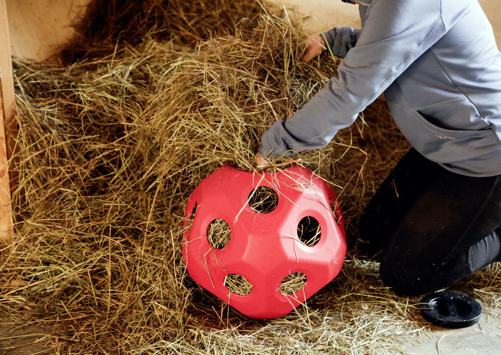 Heuball Pferde Spielzeug Futterspielball