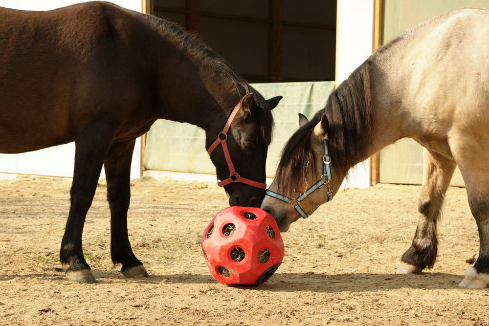 Heuball Pferde Spielzeug Futterspielball