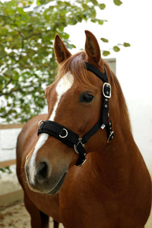 Schwarz