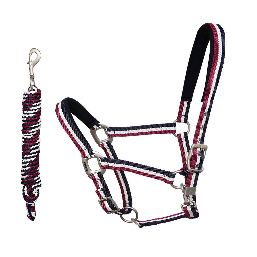 Halfter Classic mit Strick