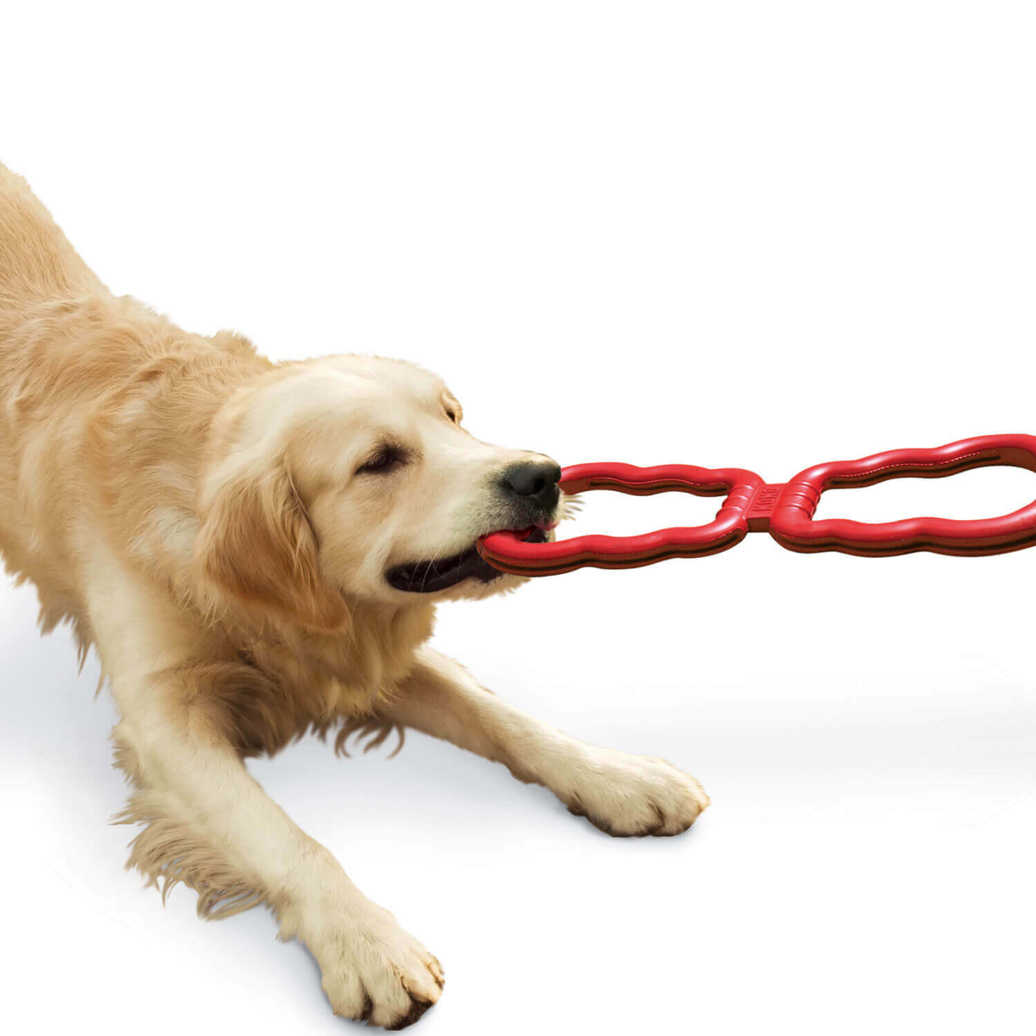 Hundespielzeug Tug Toy