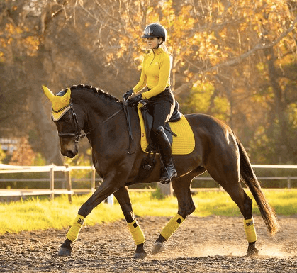 Dressurschabracke LMX Luxury Dressage Square Dijon HW 21