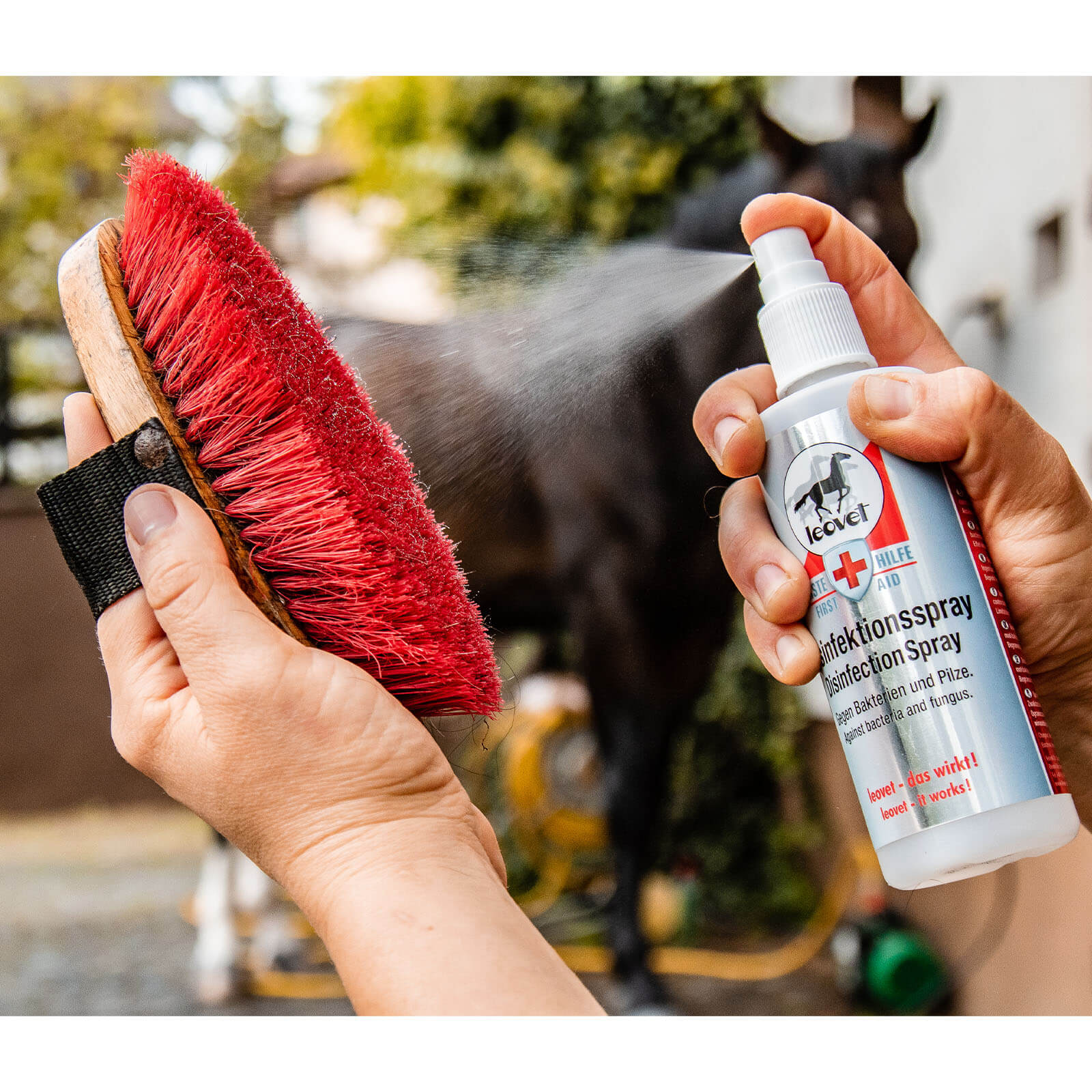 Desinfektionsspray zur Flächendesinfektion