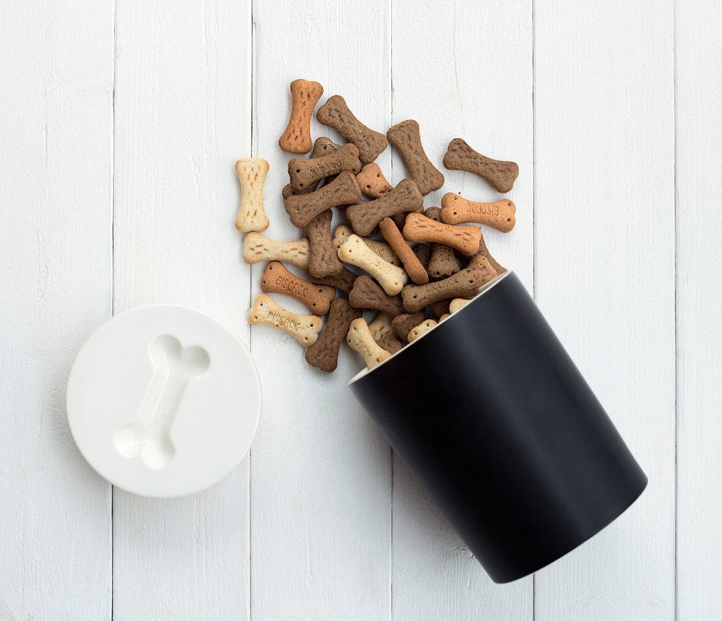 Aufbewahrungsdose Treat Jar für Hundeleckerlis