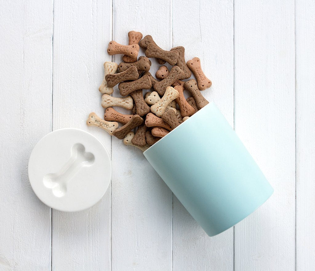 Aufbewahrungsdose Treat Jar für Hundeleckerlis