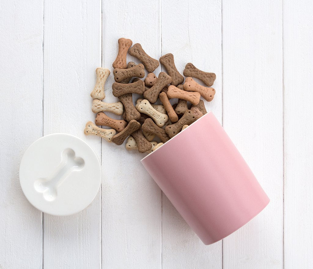 Aufbewahrungsdose Treat Jar für Hundeleckerlis