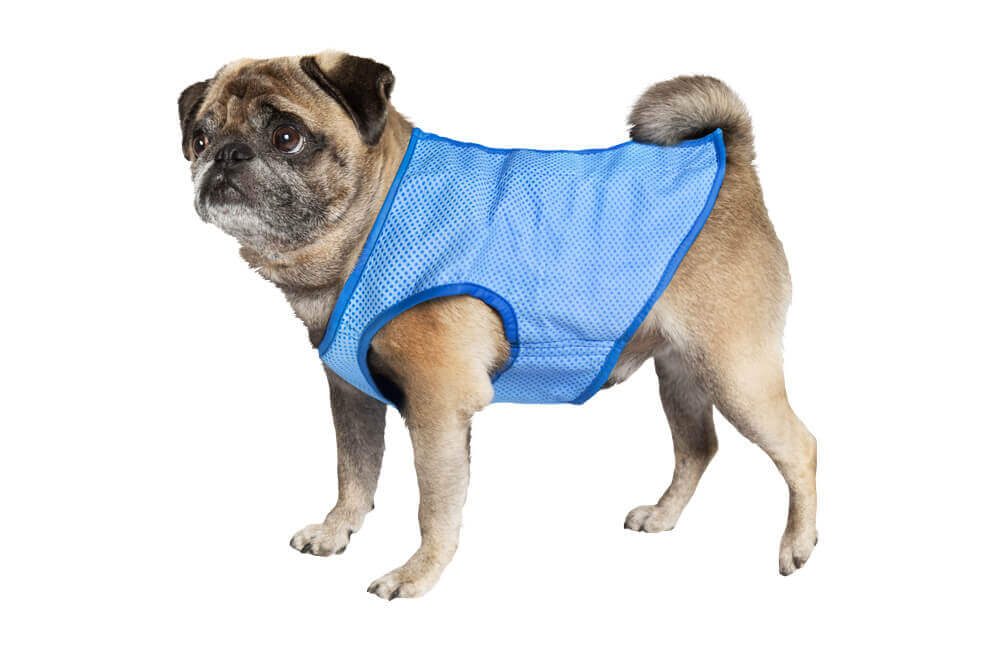 Kühl-Weste Hund Hundemantel