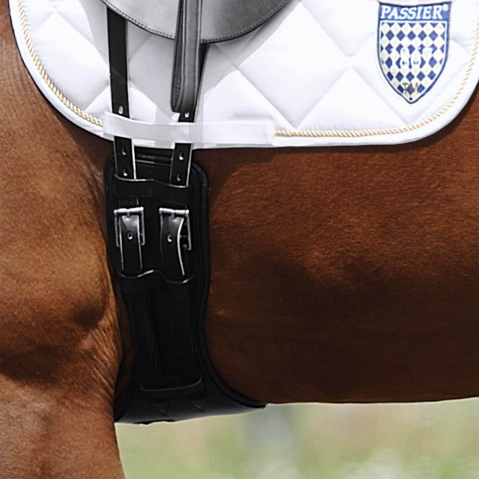 Sattelgurt anatomisch geformter Ledersattelgurt Kurzgurt