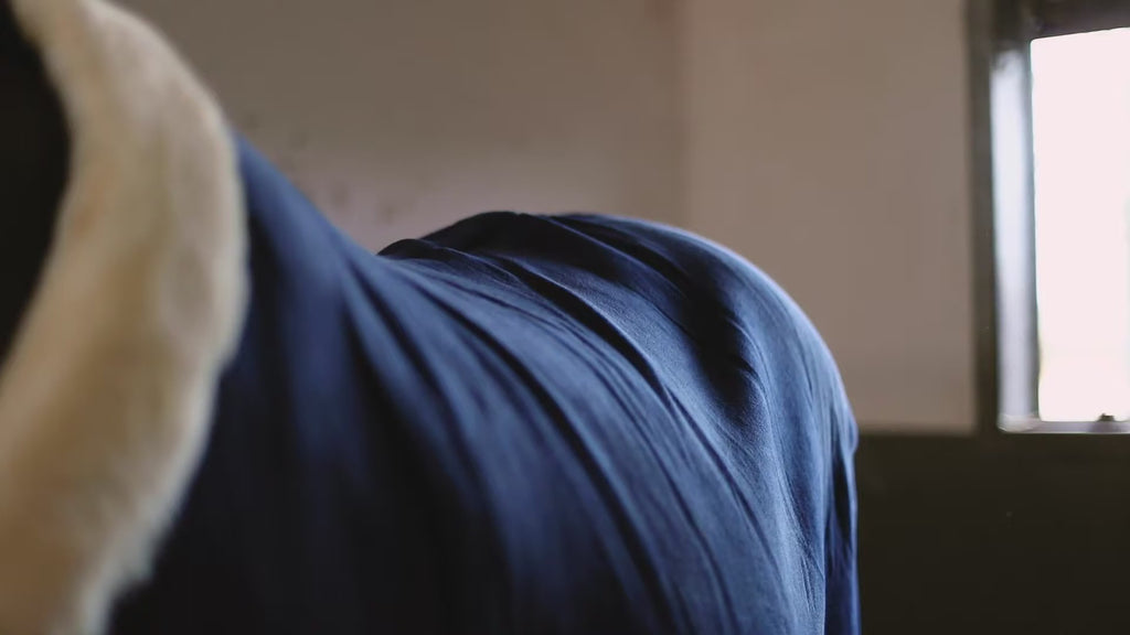 Video: Kentucky | Abschwitzdecke Show Heavy