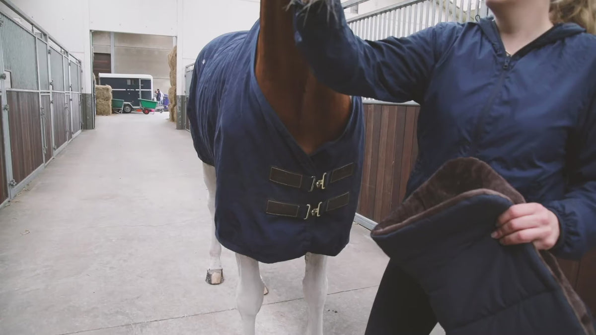 Video: Kentucky | Horse Bib