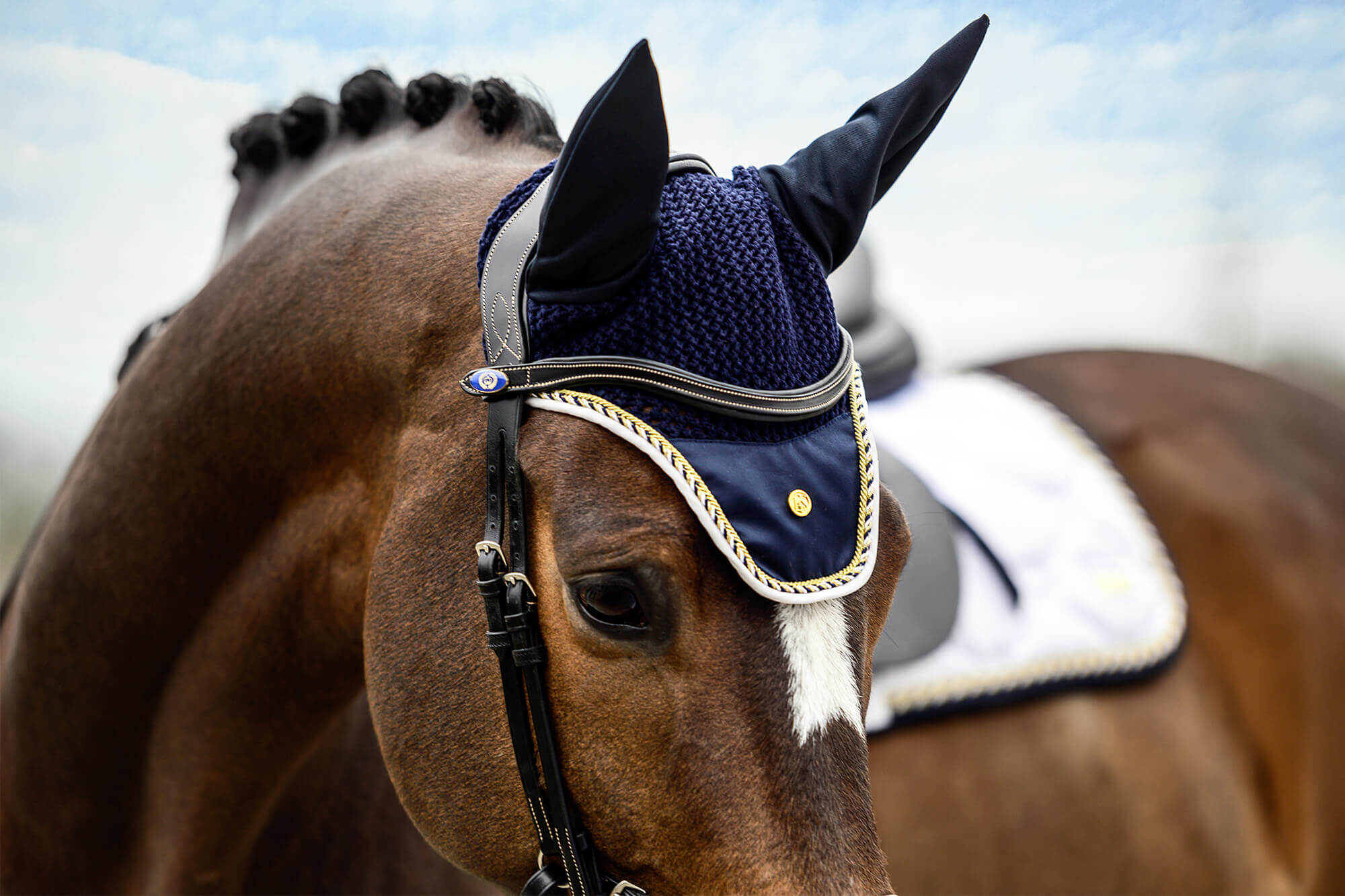 Fliegenmütze Navy