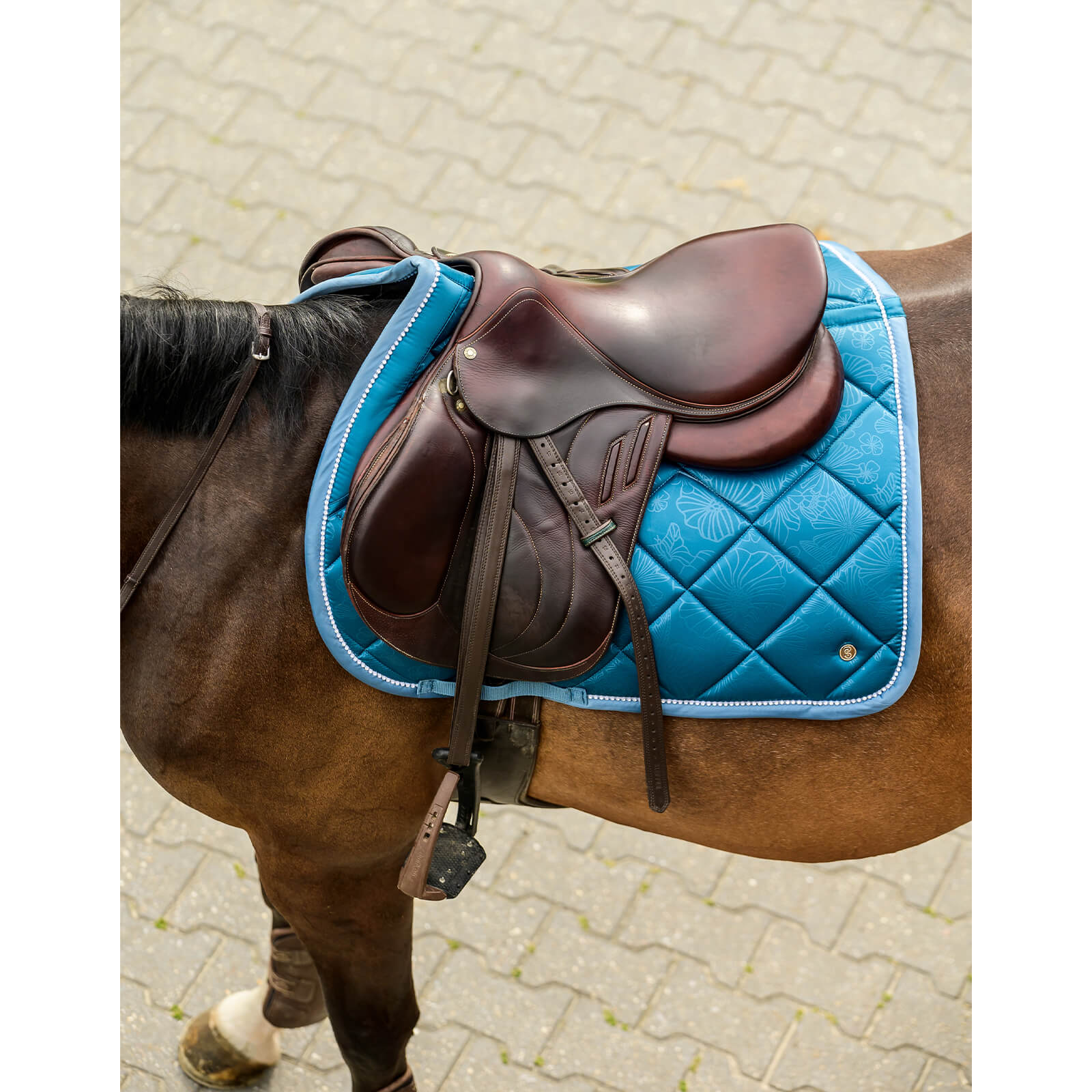 Schabracke Springen Floret HW 2022