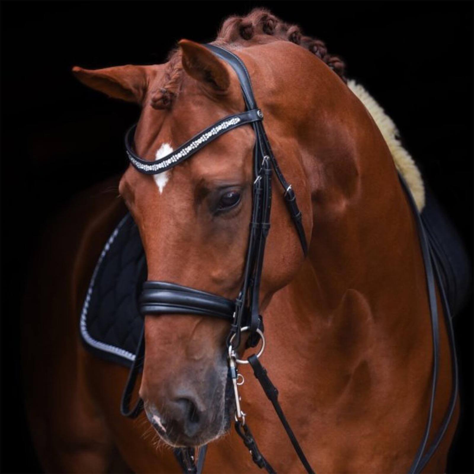 Kandare Millennium Double Bridle