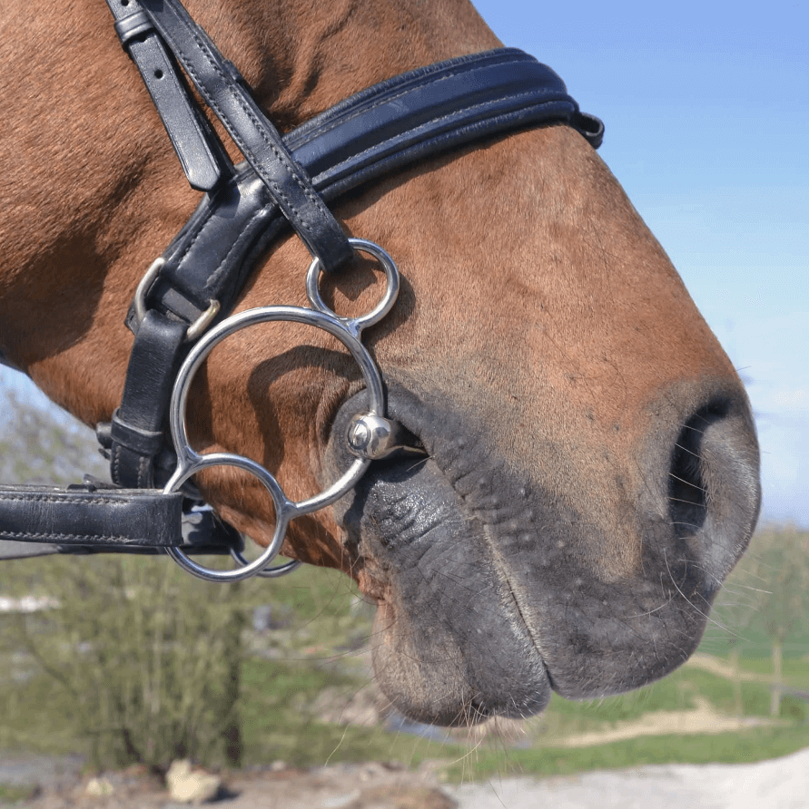 3-Ring Gebiss KK Ultra Sensogan 16 MMDoppelt gebrochen